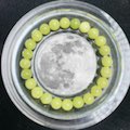 【高品質石】A035 カンラン石